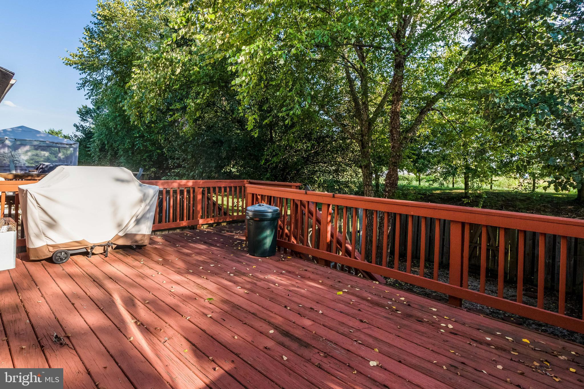1818 Free Terrace Frederick, MD 21702 - Photo 34 of 37