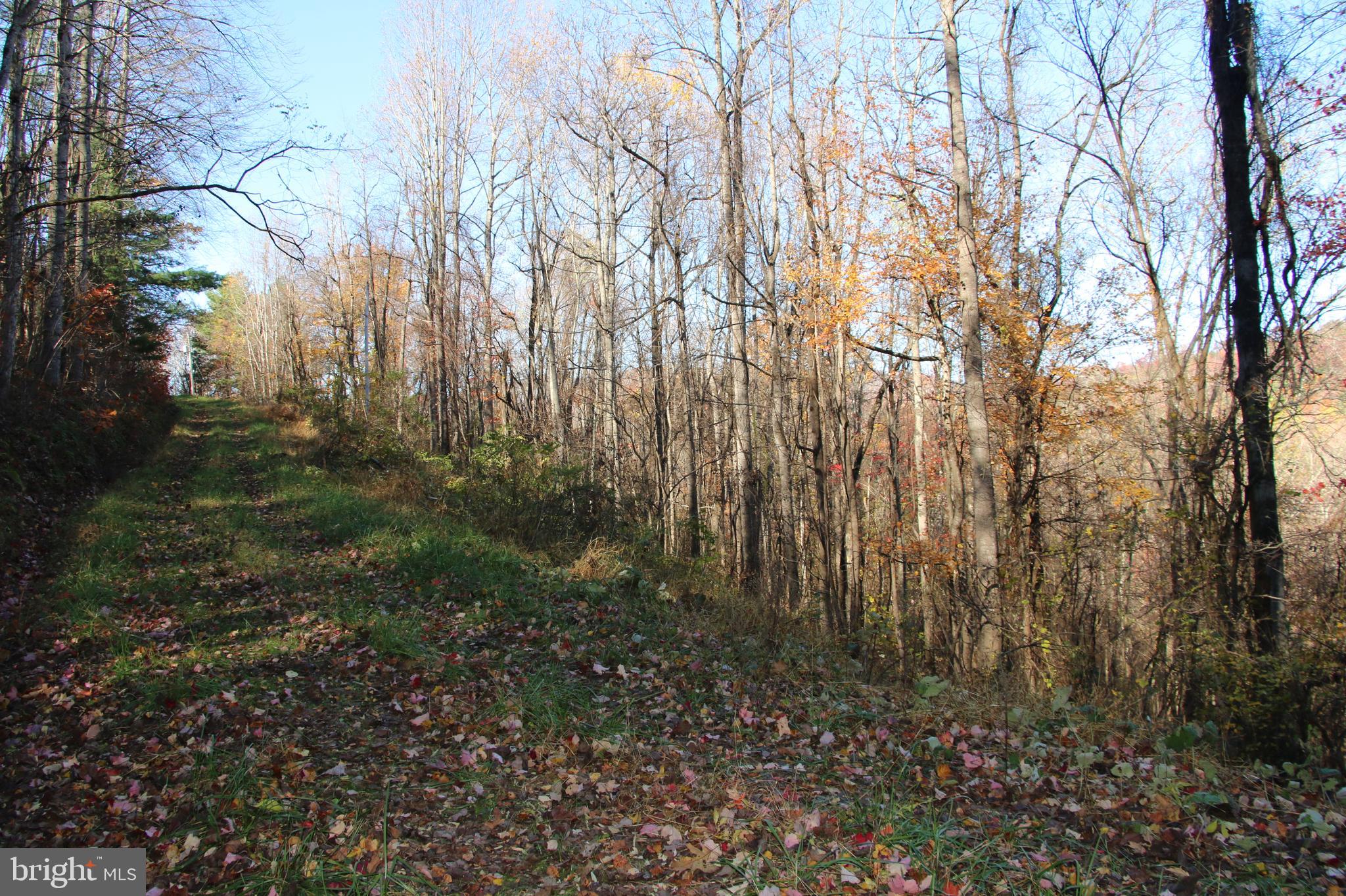 0 Overlook Mountain Road Elkton, VA 22827 - Photo 13 of 19