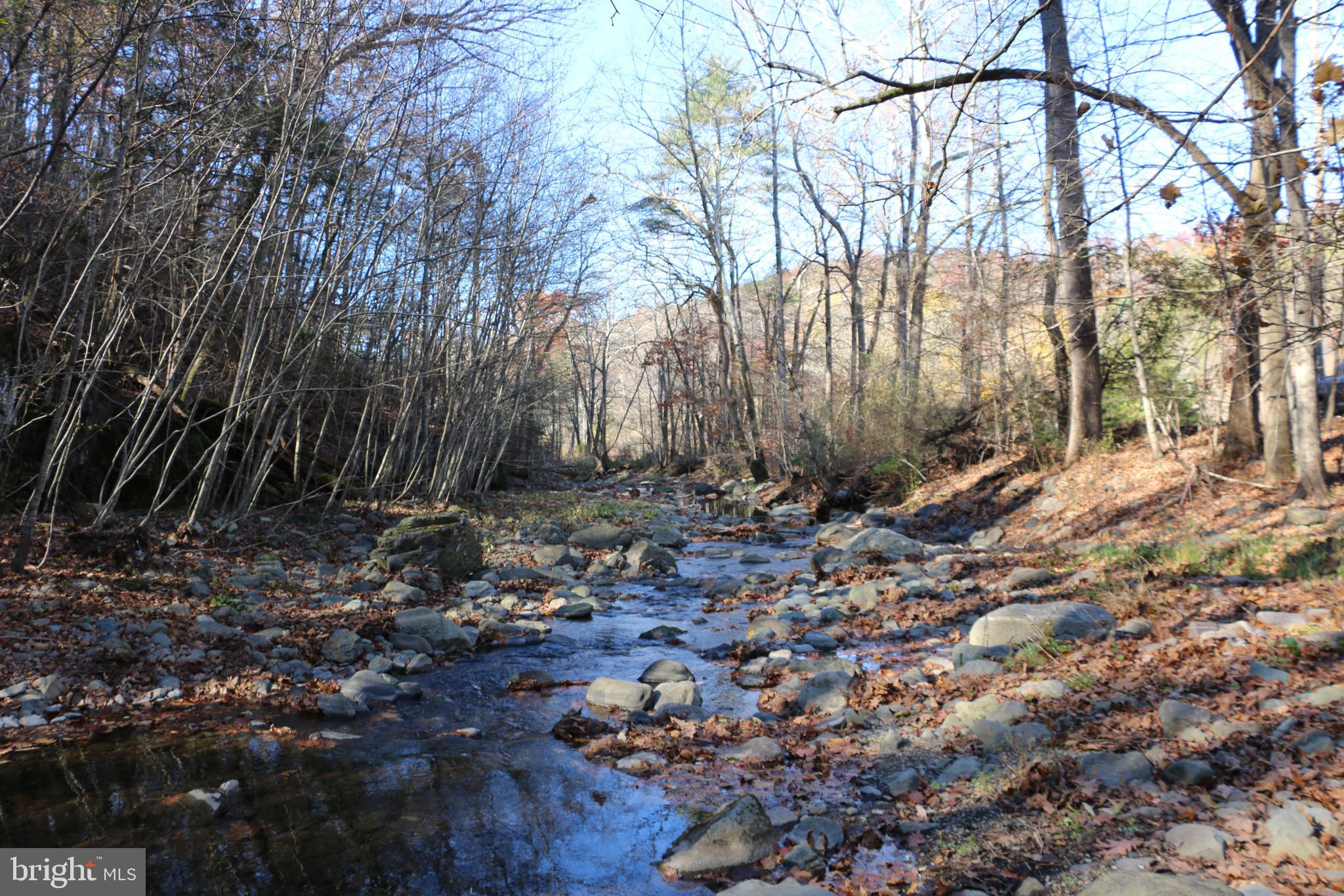 0 Overlook Mountain Road Elkton, VA 22827 - Photo 14 of 19