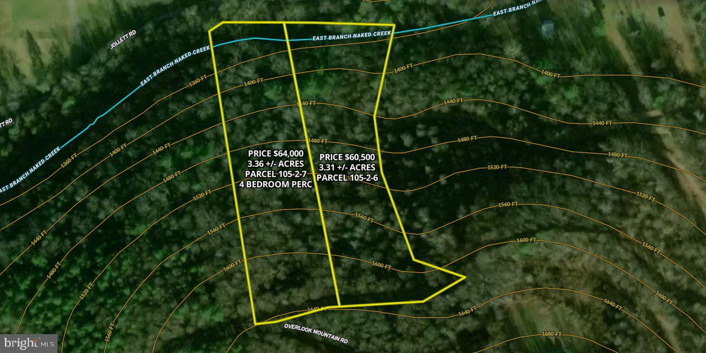 0 Overlook Mountain Road Elkton, VA 22827 - Photo 16 of 19