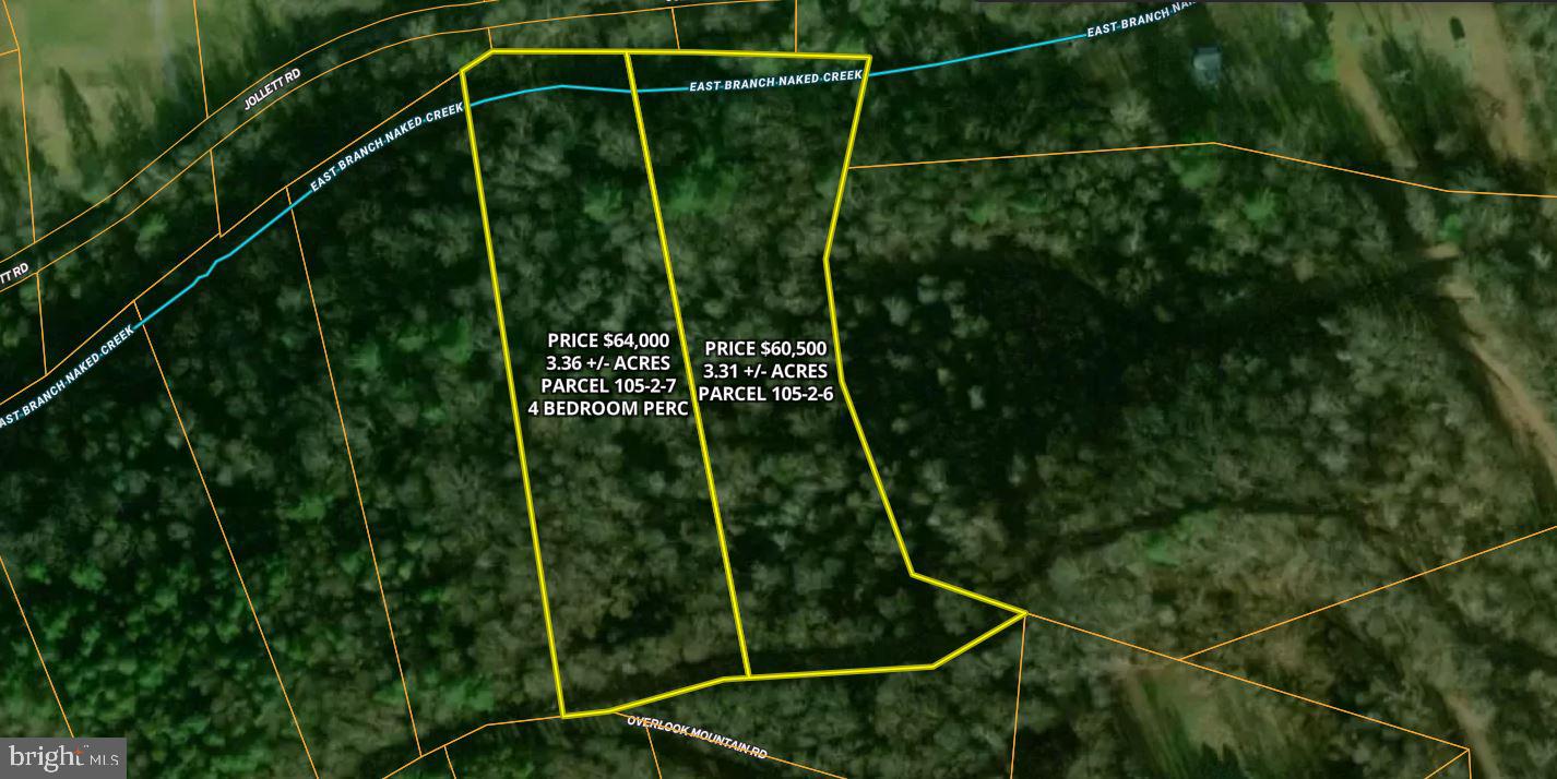 0 Overlook Mountain Road Elkton, VA 22827 - Photo 18 of 19