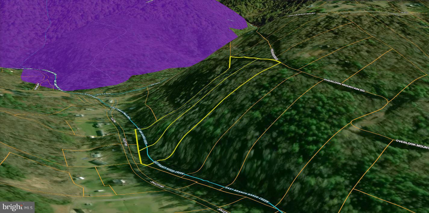 0 Overlook Mountain Road Elkton, VA 22827 - Photo 19 of 19