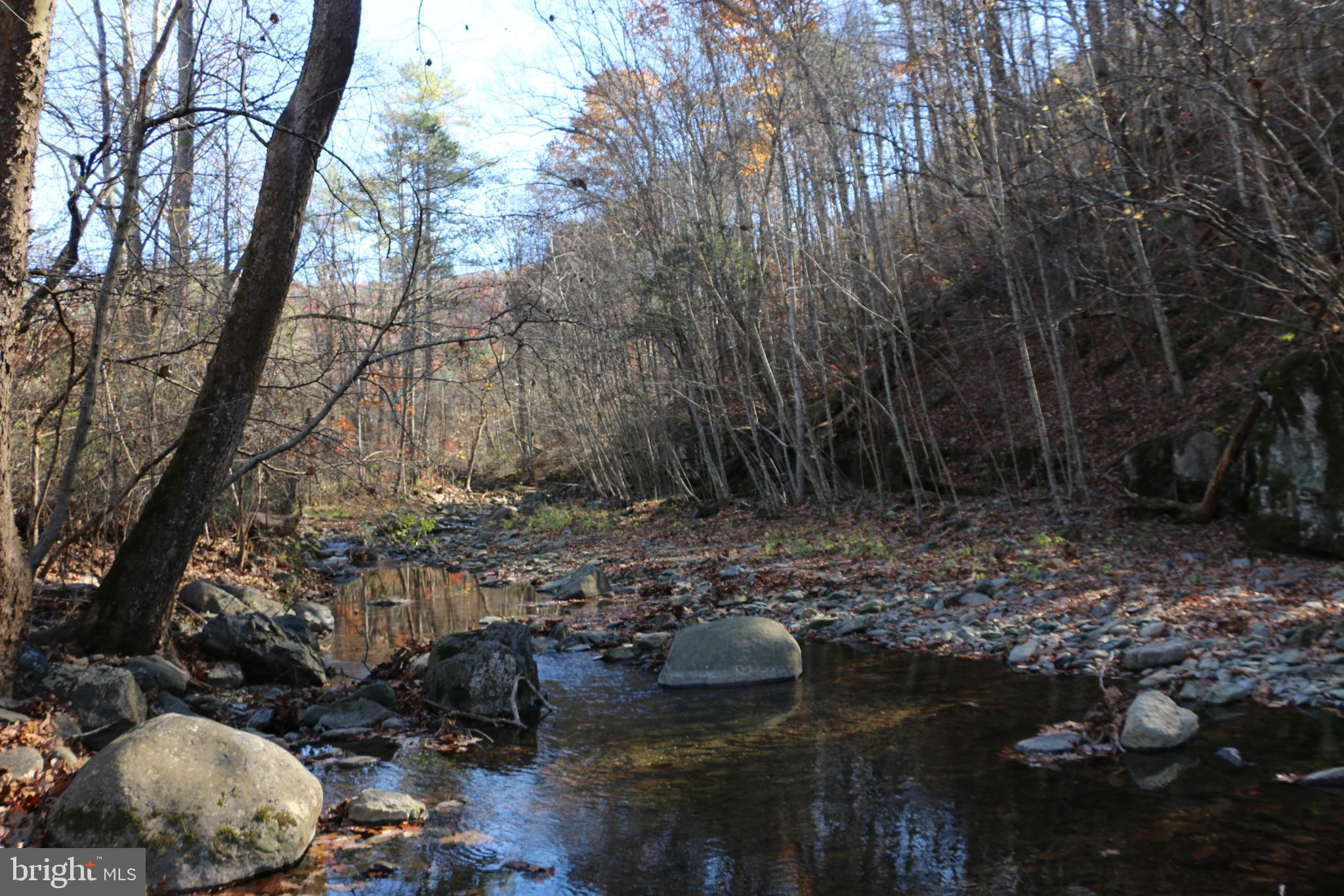 0 Overlook Mountain Road Elkton, VA 22827 - Photo 4 of 19
