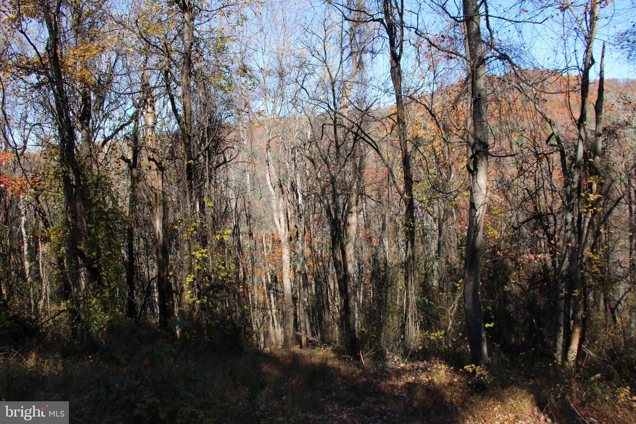 0 Overlook Mountain Road Elkton, VA 22827 - Photo 5 of 19