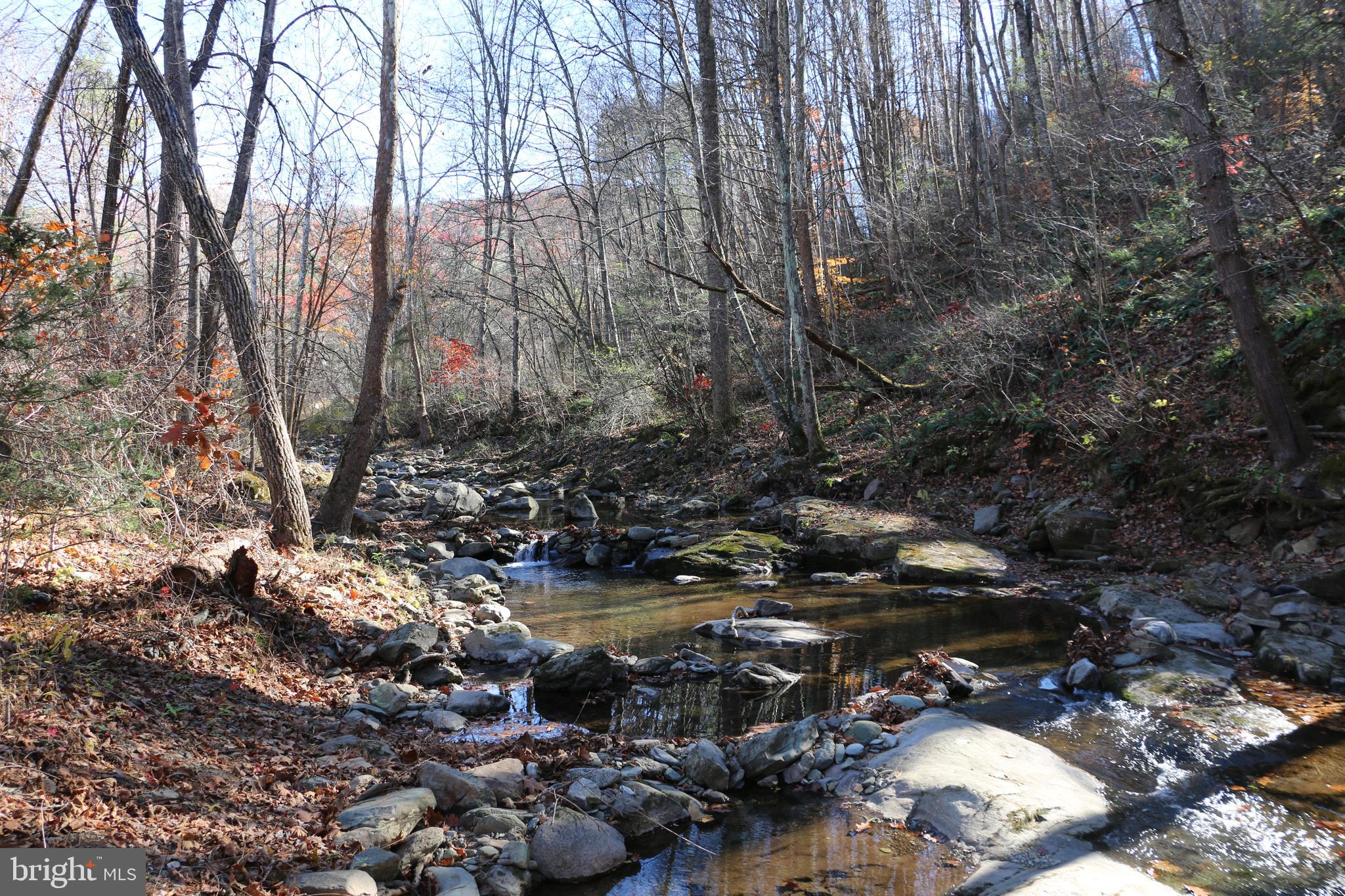 0 Overlook Mountain Road Elkton, VA 22827 - Photo 10 of 19