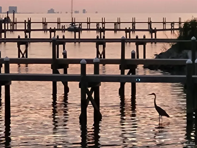 a view of swimming pool