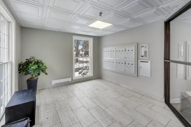 a view of an empty room with a potted plant