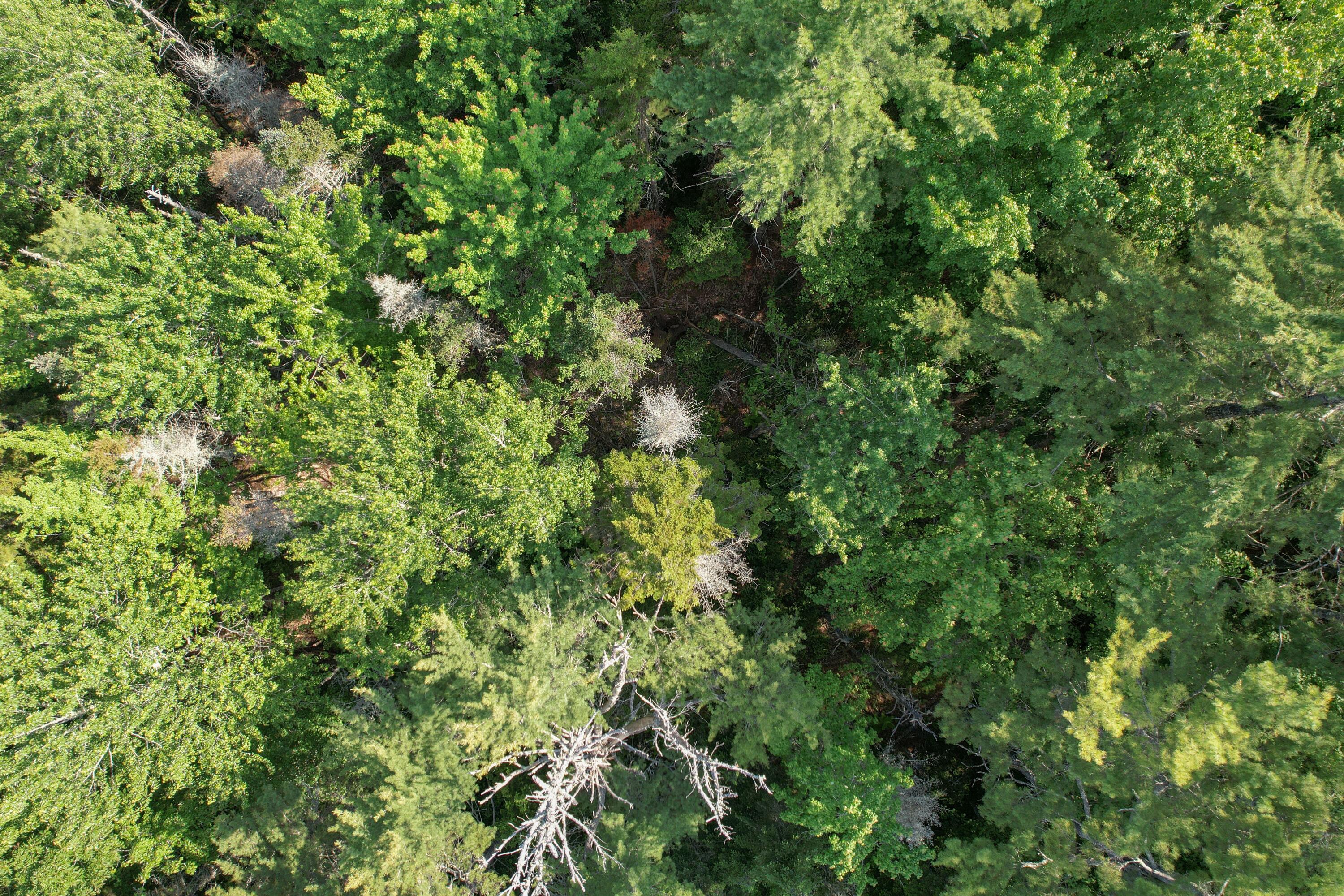 25 Farm Edge Road Sullivan, ME 04664 - Photo 17 of 28 DJI_0173