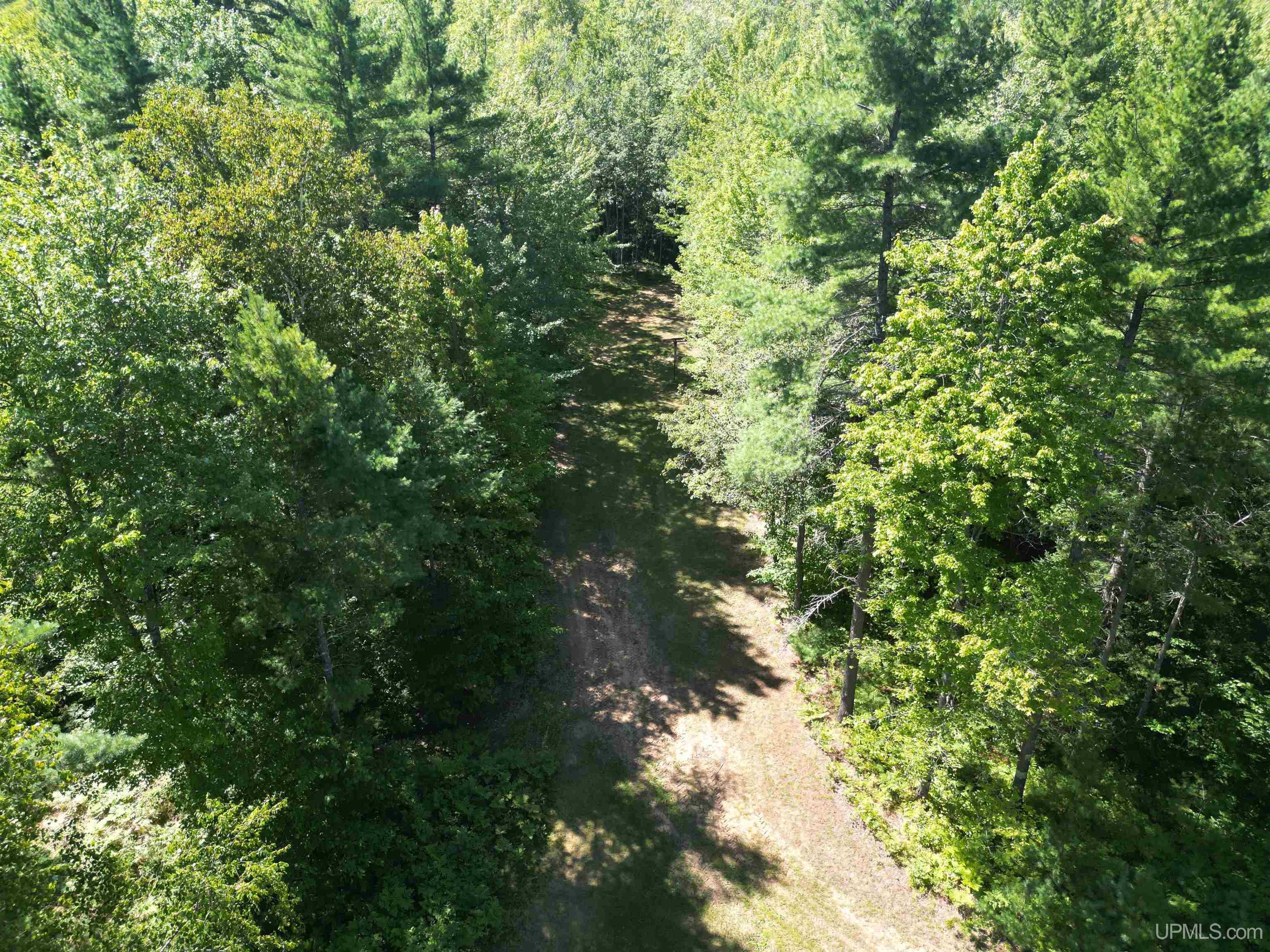 13325 County 509 Y Road Rapid River, MI 49878 - Photo 12 of 52