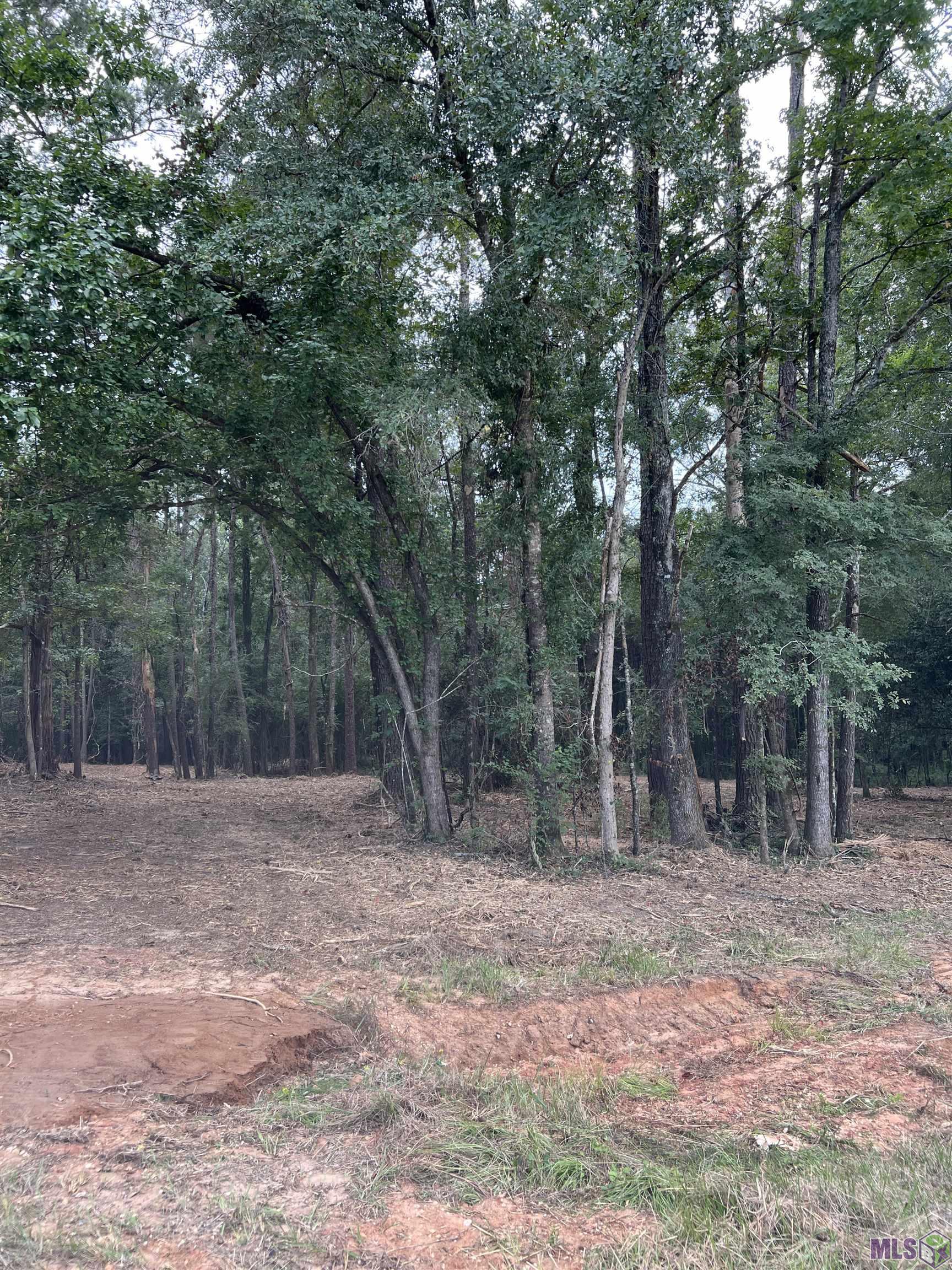 10 Clinton La Clinton, LA 70722 - Photo 2 of 4