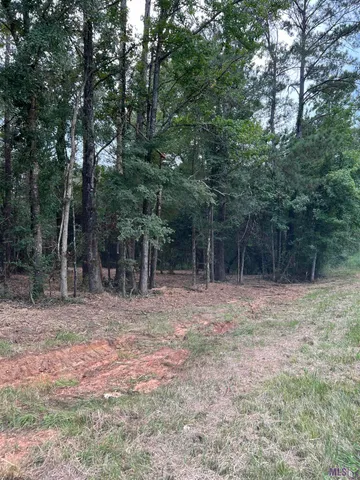 $74,500 | 10 Clinton La, Clinton, LA 70722