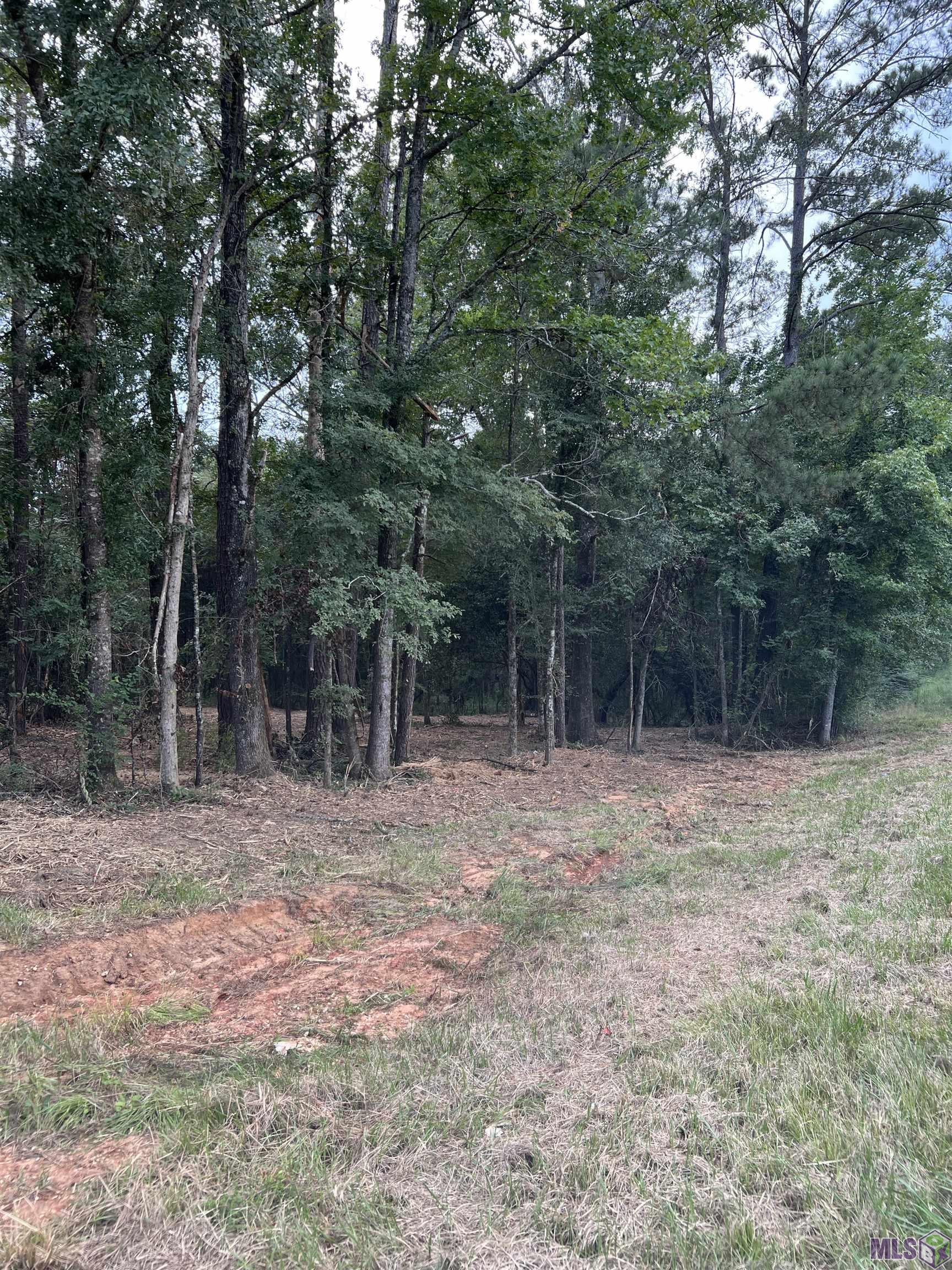 10 Clinton La Clinton, LA 70722 - Photo 3 of 4