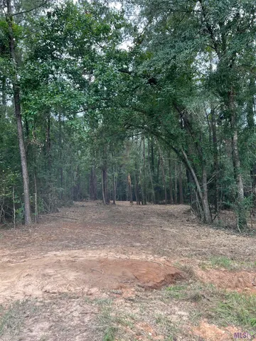 $74,500 | 10 Clinton La, Clinton, LA 70722