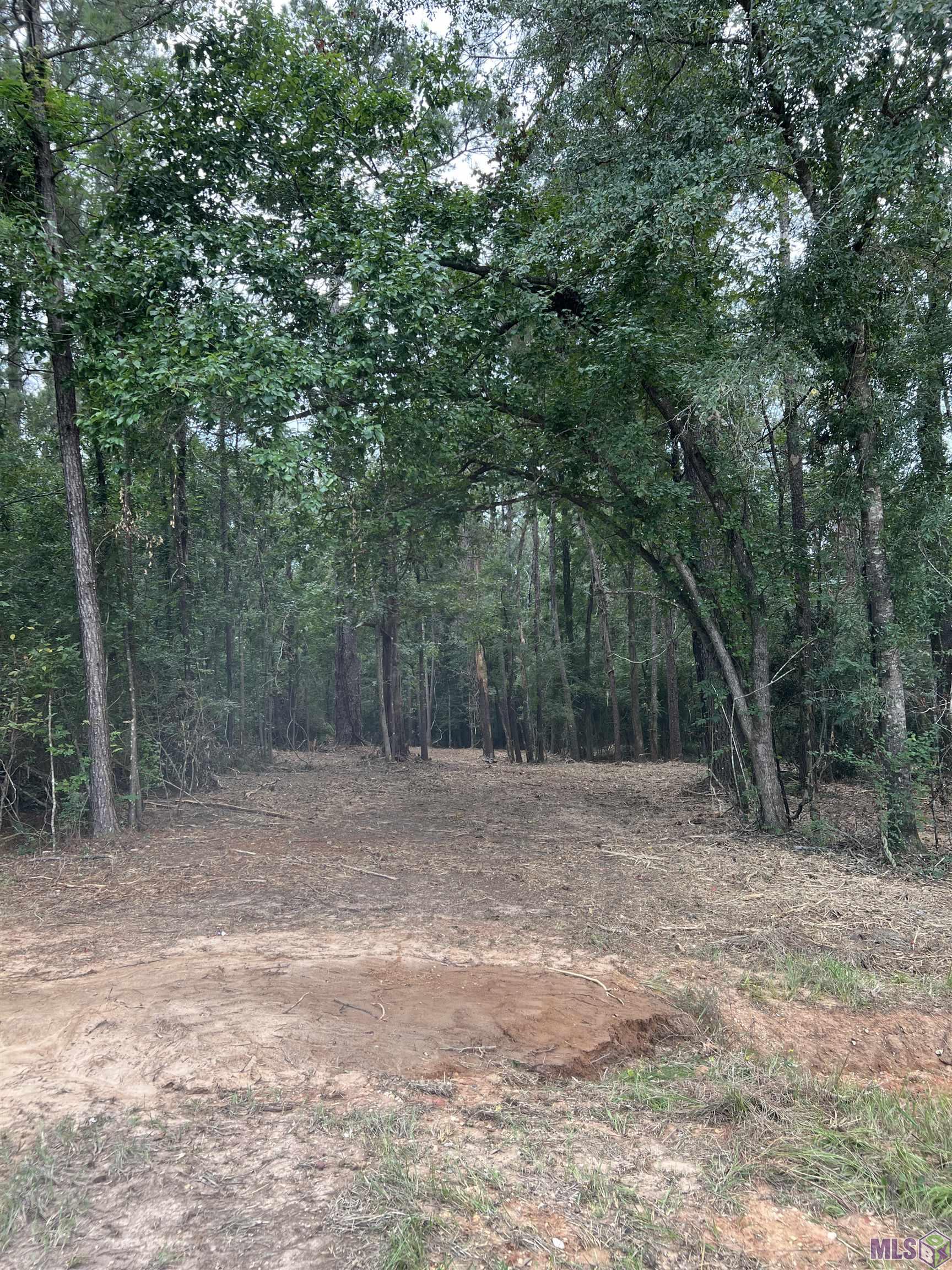 10 Clinton La Clinton, LA 70722 - Photo 4 of 4