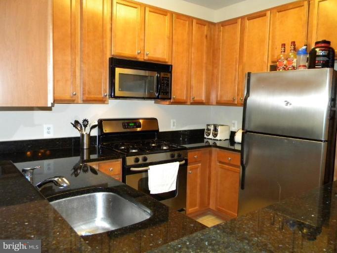 1516 North Point Drive, Unit 4010 Reston, VA 20194 - Photo 5 of 12 Kitchen