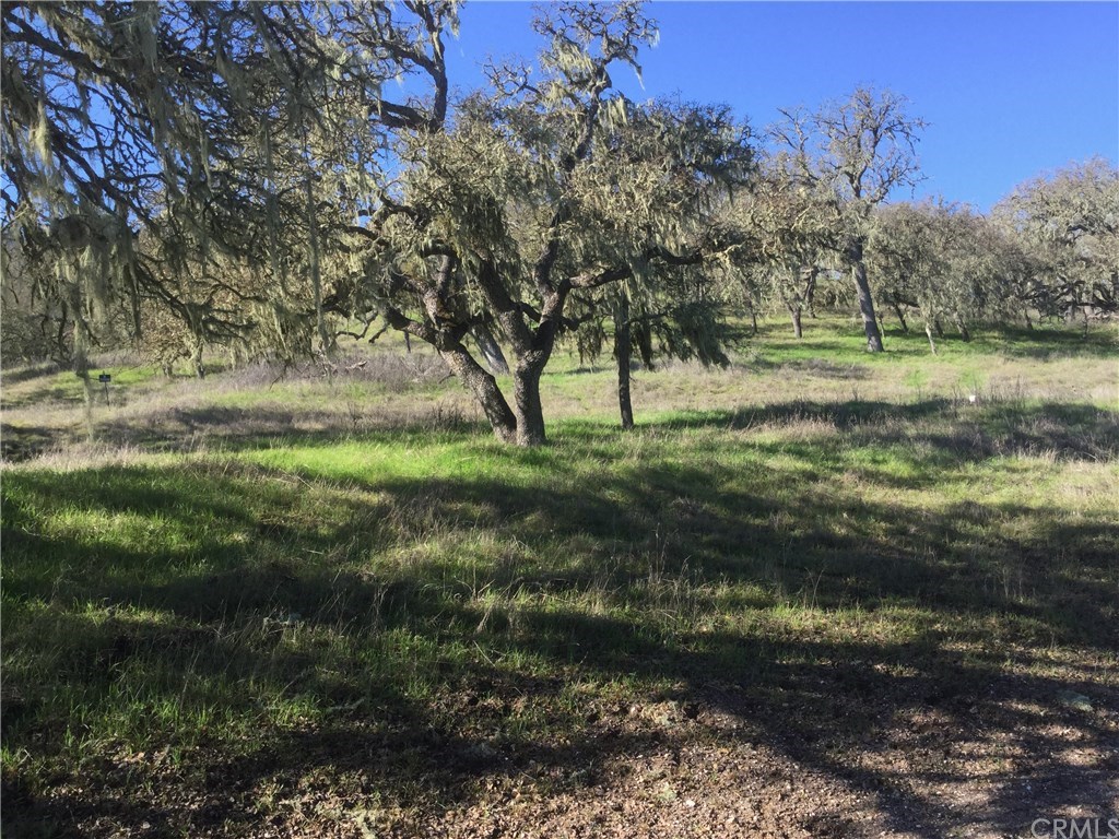 0 Spring Creek Way Templeton, CA 93465 - Photo 2 of 5