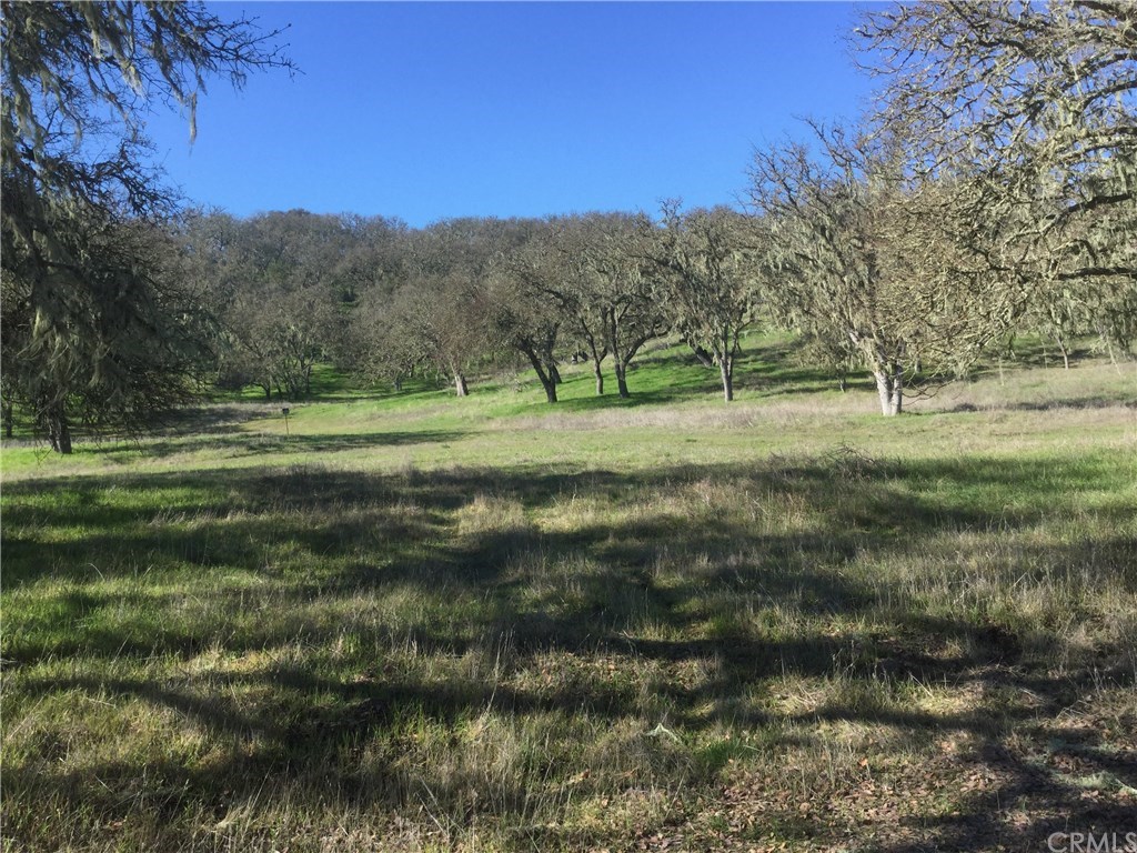 0 Spring Creek Way Templeton, CA 93465 - Photo 5 of 5