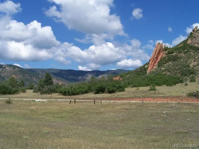 a close up of a tree in a garden