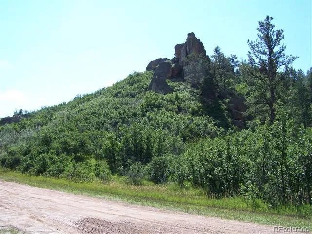 $75,000 | 5905 Country Club Drive, Larkspur, CO 80118