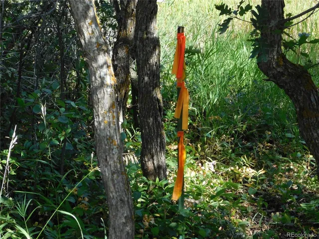 $75,000 | 5905 Country Club Drive, Larkspur, CO 80118