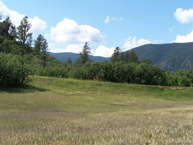 a view of a field with an trees