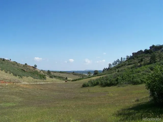 a view of a field with trees in background