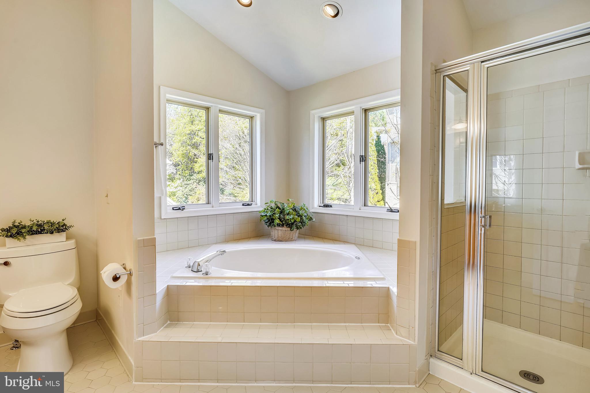 4409 Nuttall Road Fairfax, VA 22032 - Photo 30 of 80 Bath in owner's suite.