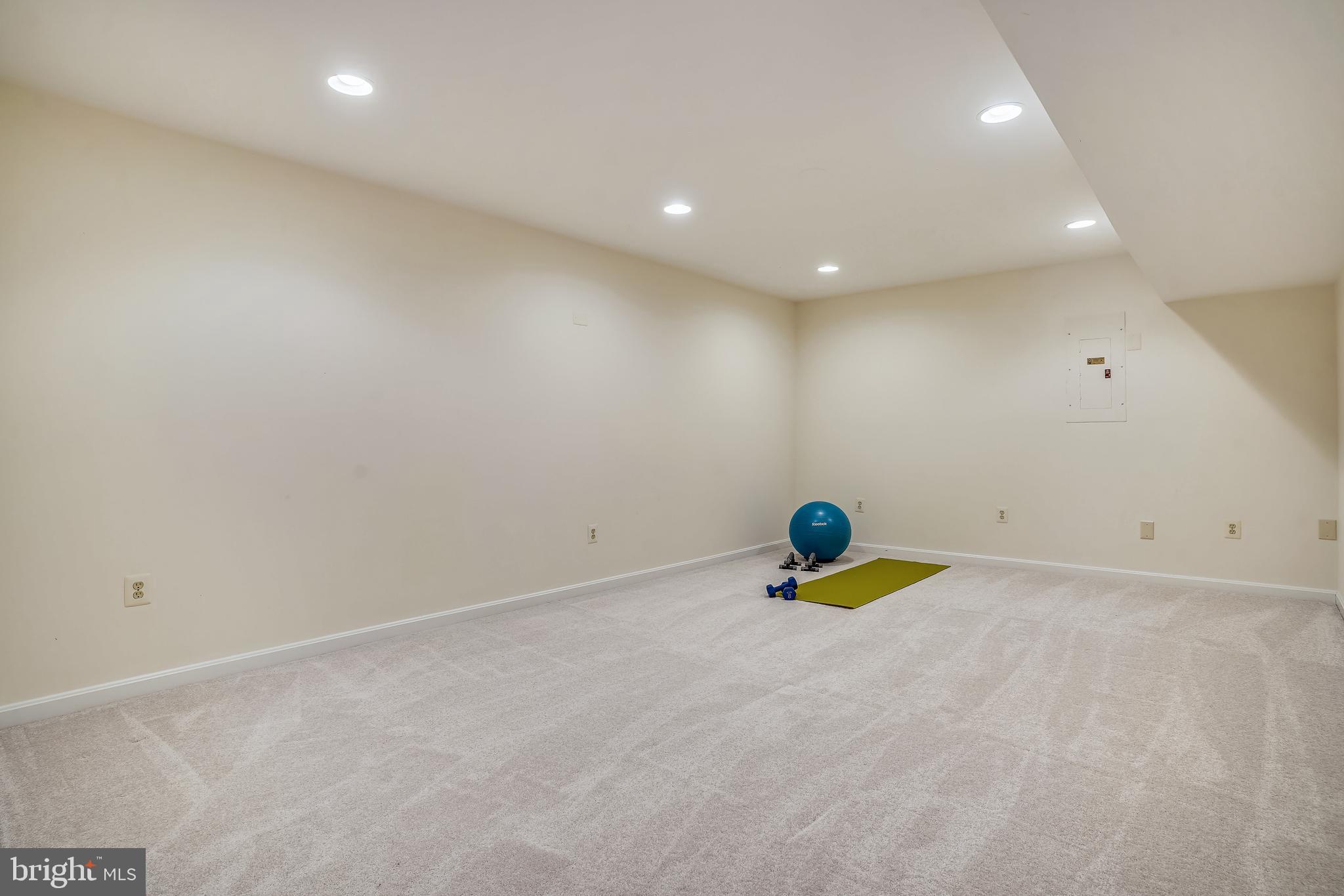 4409 Nuttall Road Fairfax, VA 22032 - Photo 47 of 80 Plenty of space on LL for relaxing & entertaining.