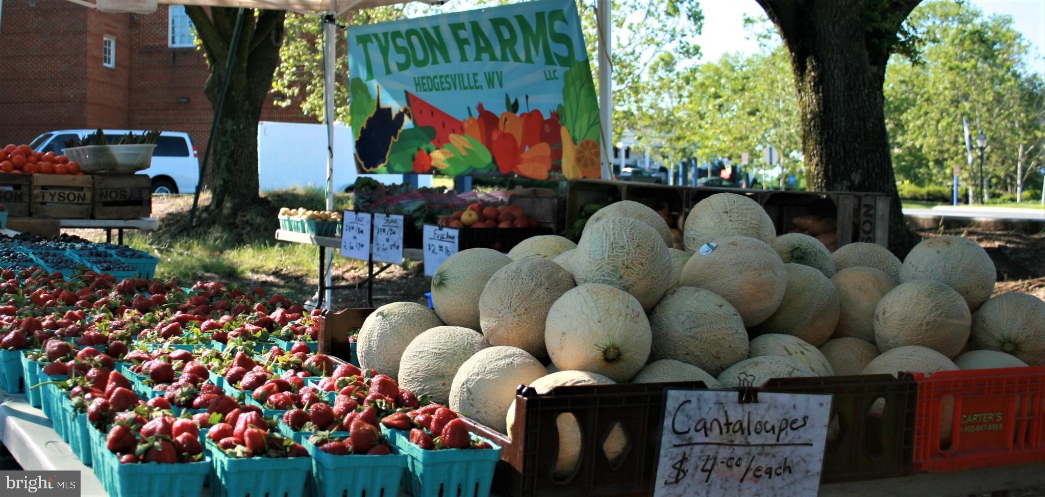 4409 Nuttall Road Fairfax, VA 22032 - Photo 78 of 80 Farmers market in season nearby.