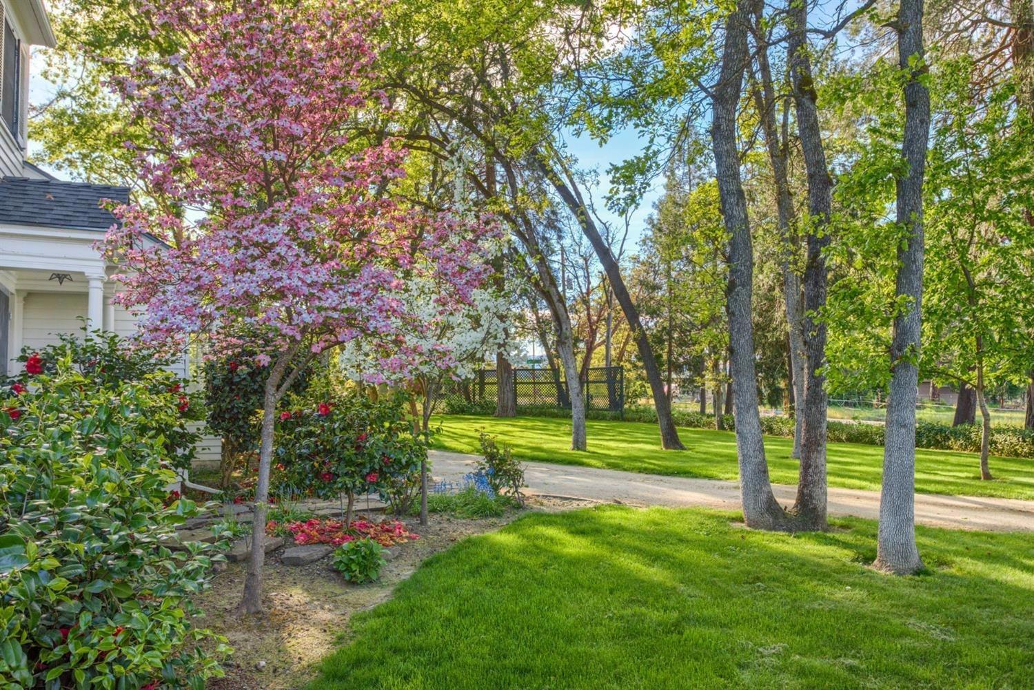 1975 Houston Road Phoenix, OR 97535 - Photo 29 of 33 Springs colors abound with a variety of