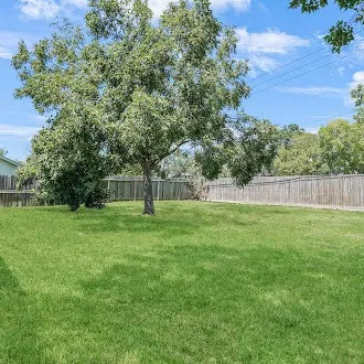 a view of a yard with a trees