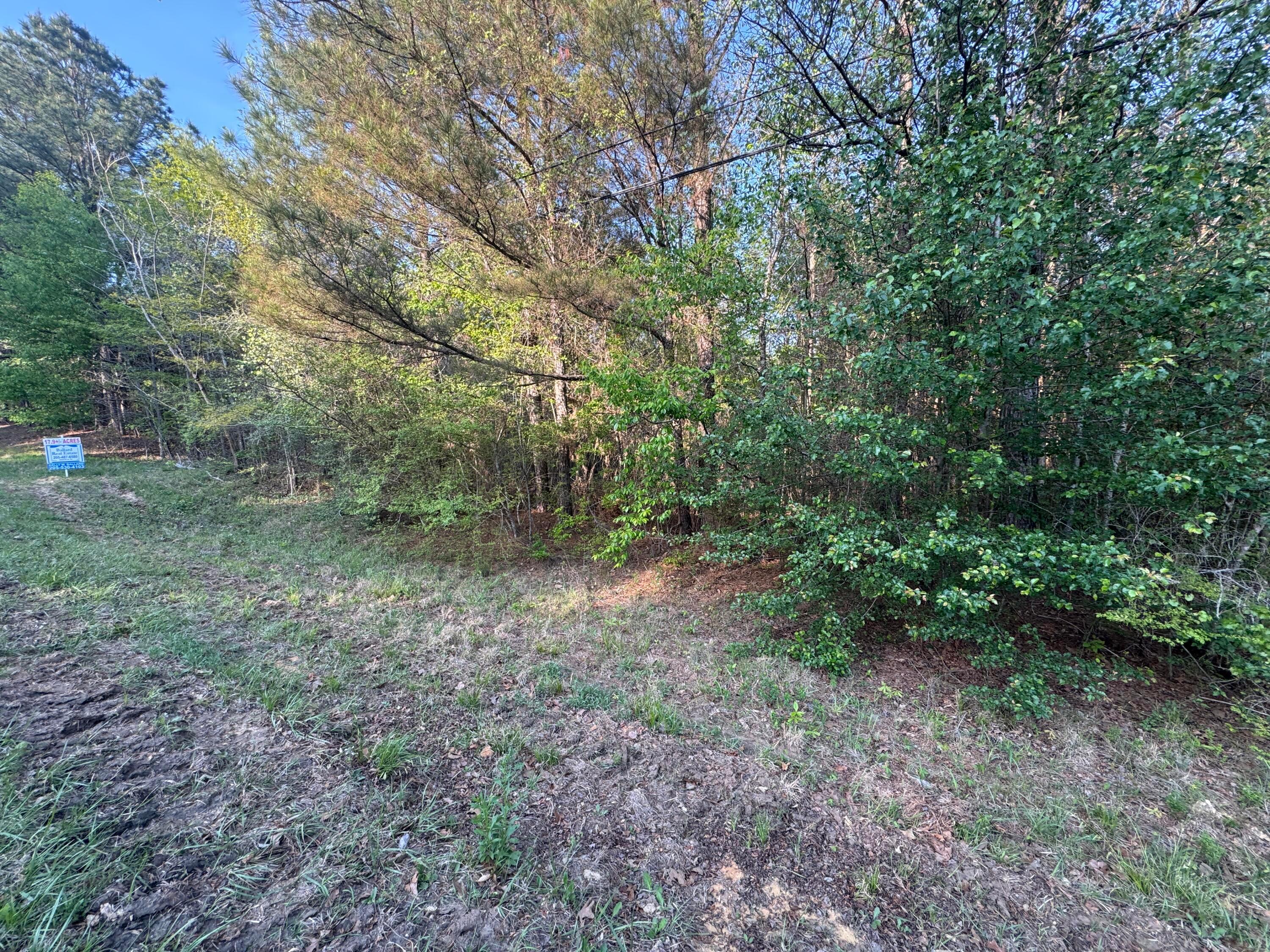 Harbor Road Winfield, AL 35594 - Photo 2 of 6 IMG_4614