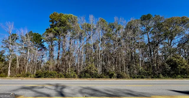 $250,000 | 718 North Columbia Avenue, Rincon, GA 31326