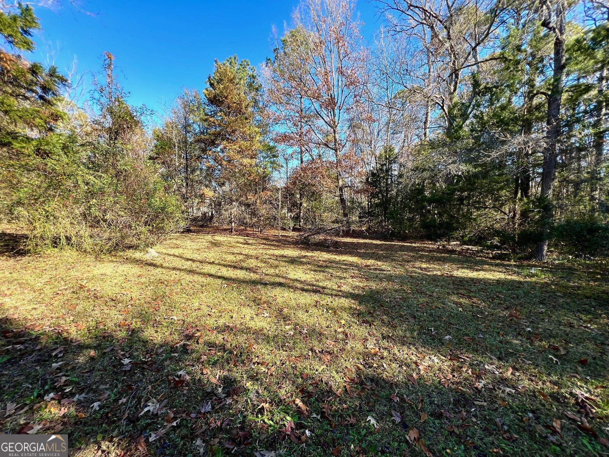 718 North Columbia Avenue Rincon, GA 31326 - Photo 4 of 8