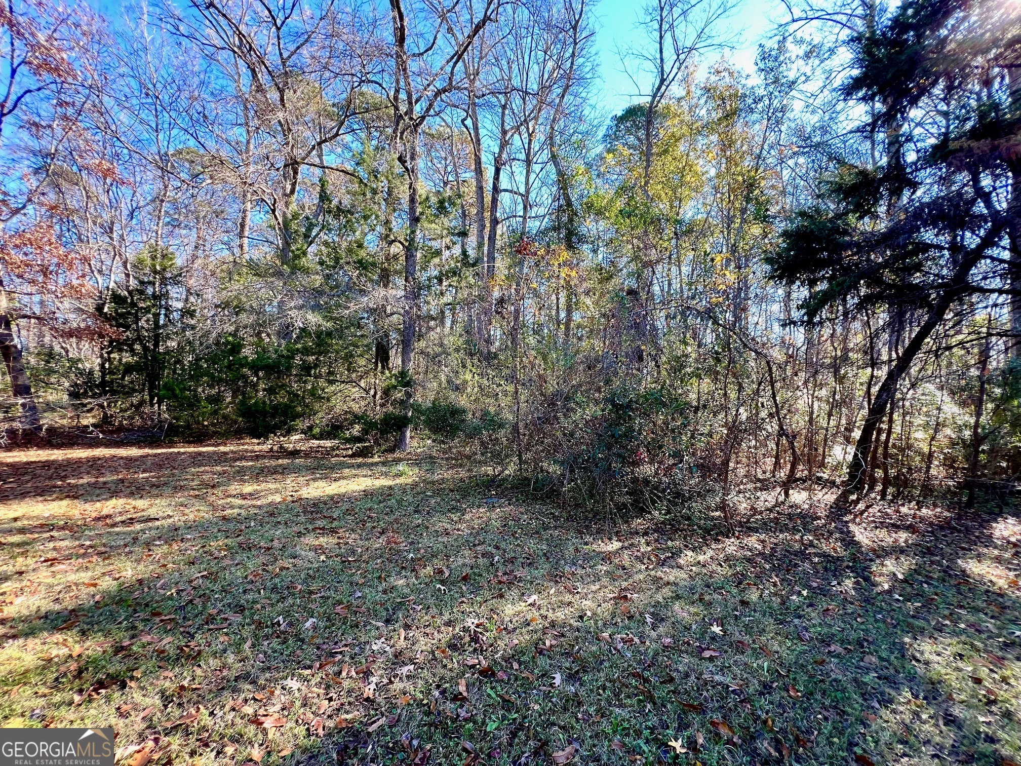 718 North Columbia Avenue Rincon, GA 31326 - Photo 5 of 8