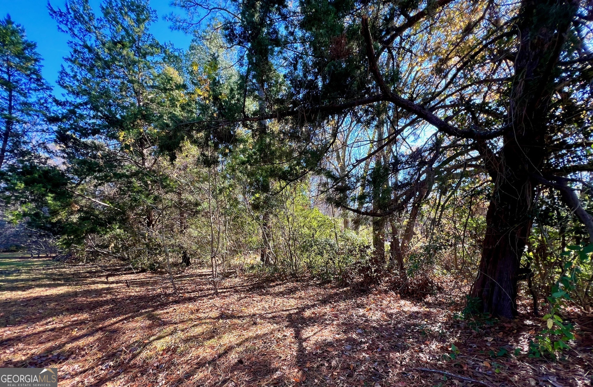 718 North Columbia Avenue Rincon, GA 31326 - Photo 7 of 8