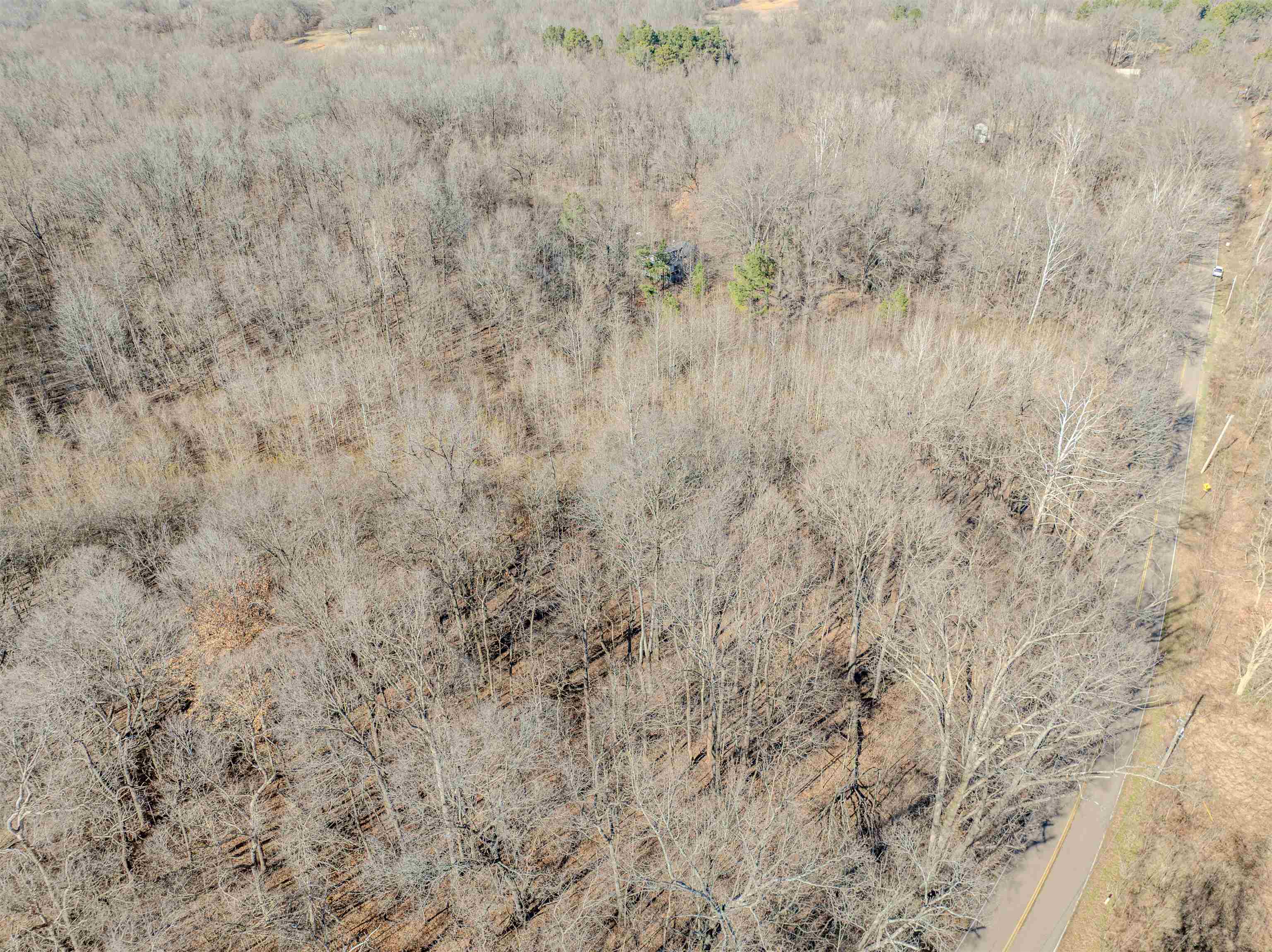 5155 Benjestown Road Memphis, TN 38127 - Photo 36 of 36 a view of a dry yard