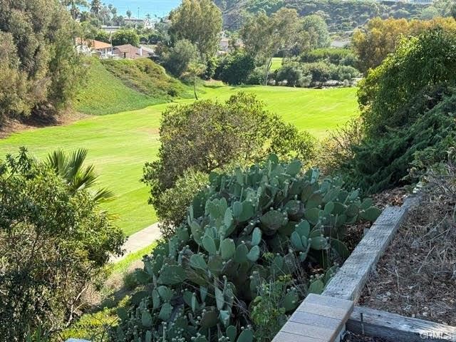 406 Calle Vista Torito San Clemente, CA 92672 - Photo 24 of 29 an aerial view of a houses with yard