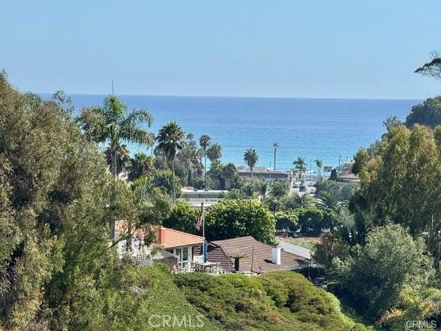 406 Calle Vista Torito San Clemente, CA 92672 - Photo 28 of 29 a view of a city