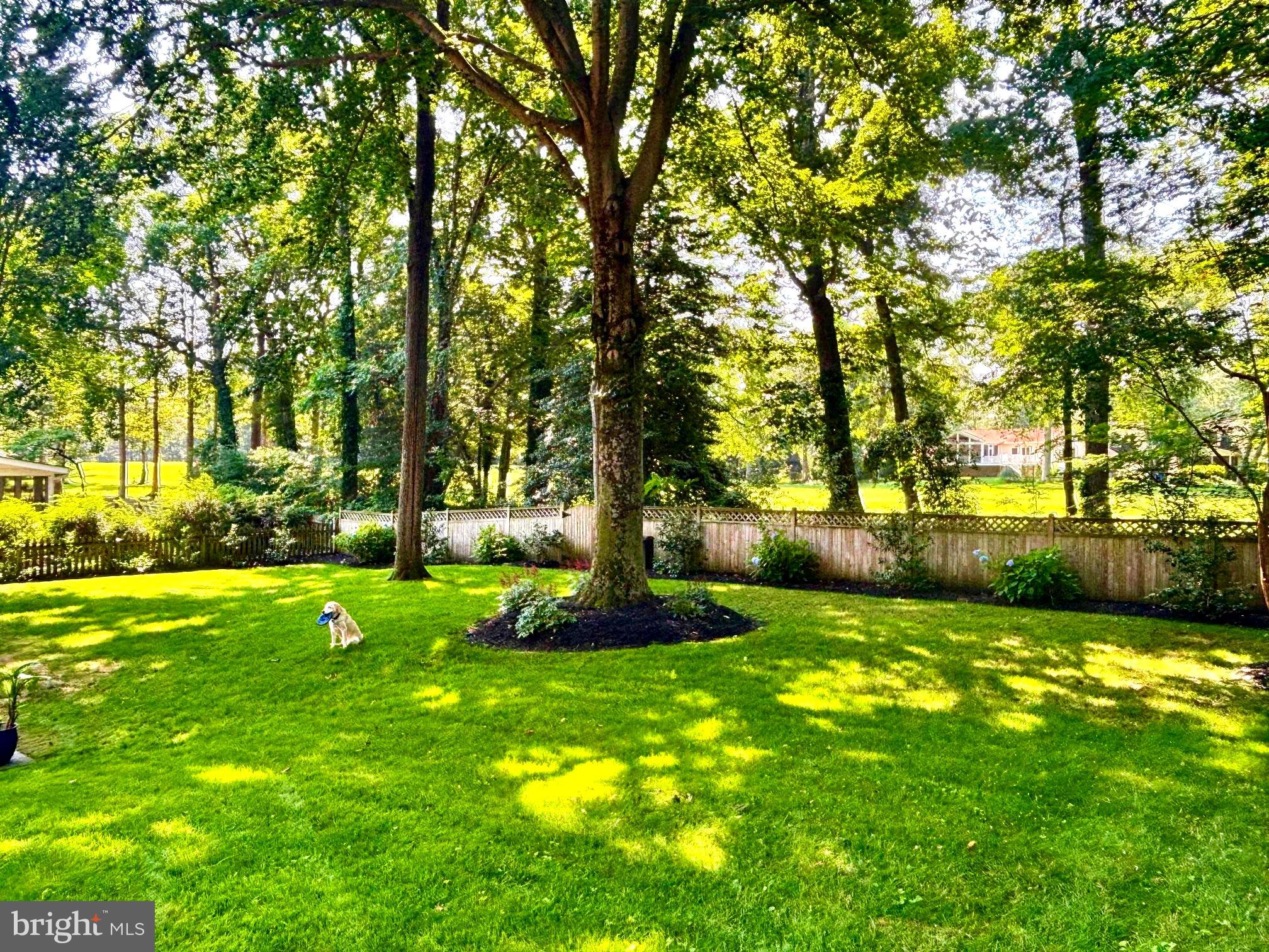 1589 Crofton Parkway Crofton, MD 21114 - Photo 43 of 60 a view of a backyard with large trees