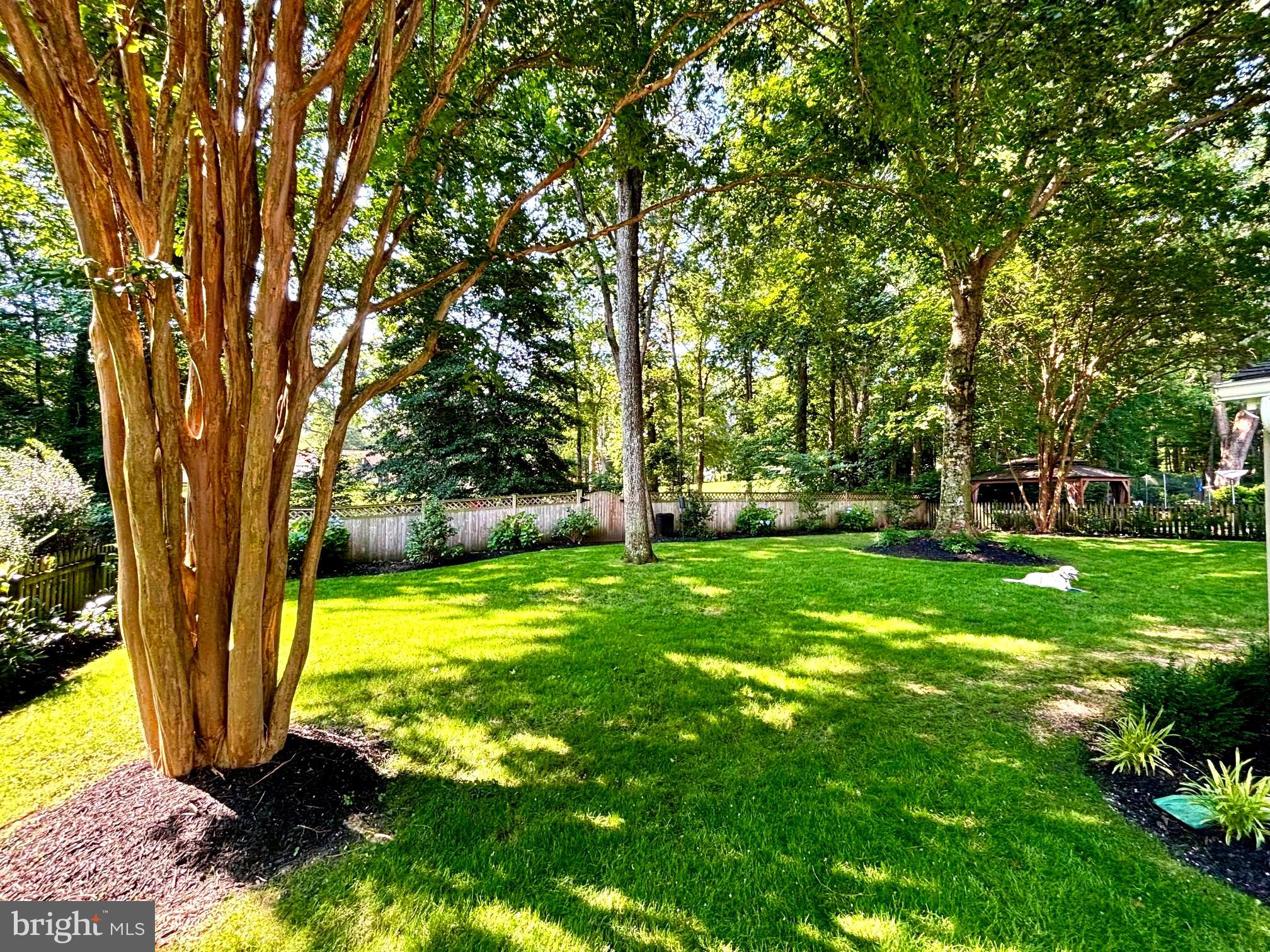 1589 Crofton Parkway Crofton, MD 21114 - Photo 44 of 60 a view of a yard with a large trees