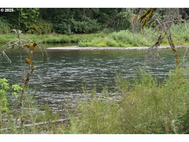 a view of a lake with a yard