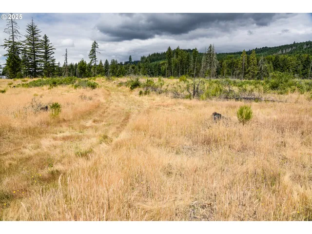 a view of a garden with an outdoor space
