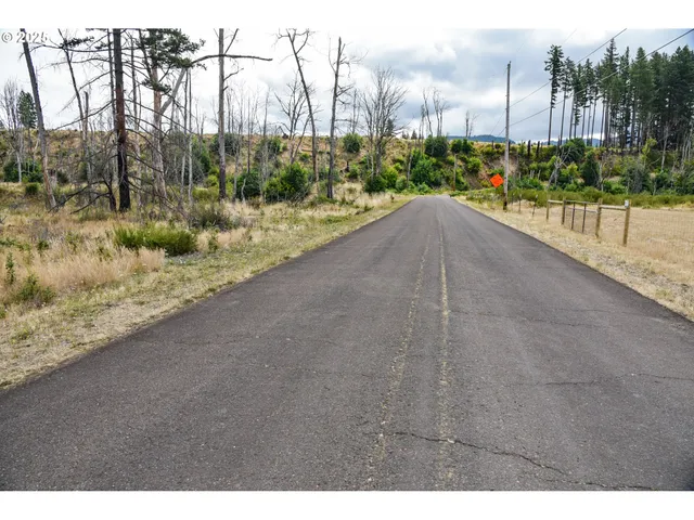 a view of a green field
