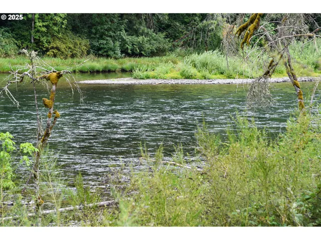 a view of a lake with a city