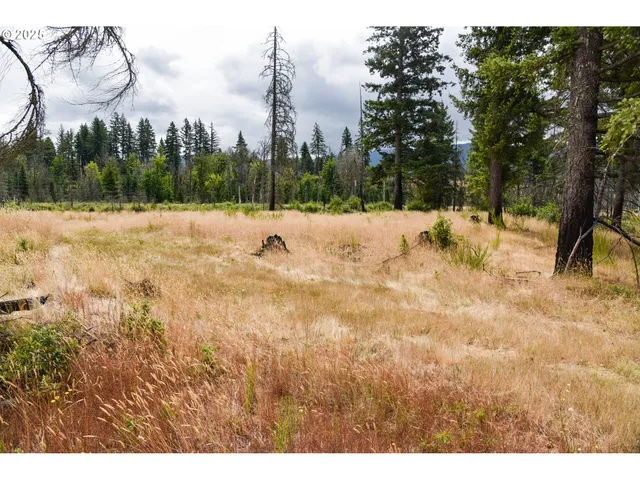 a view of covered with snow