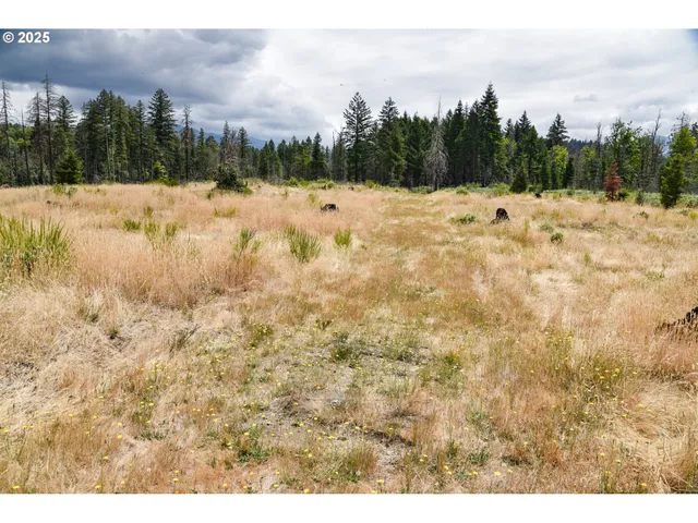 a view of mountain covered with snow