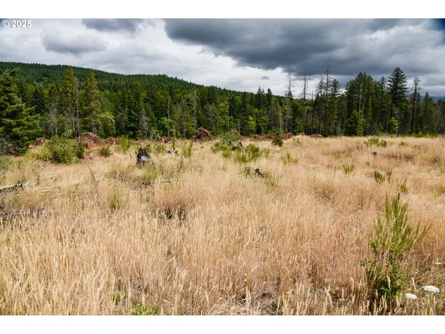 a view of outdoor space and trees