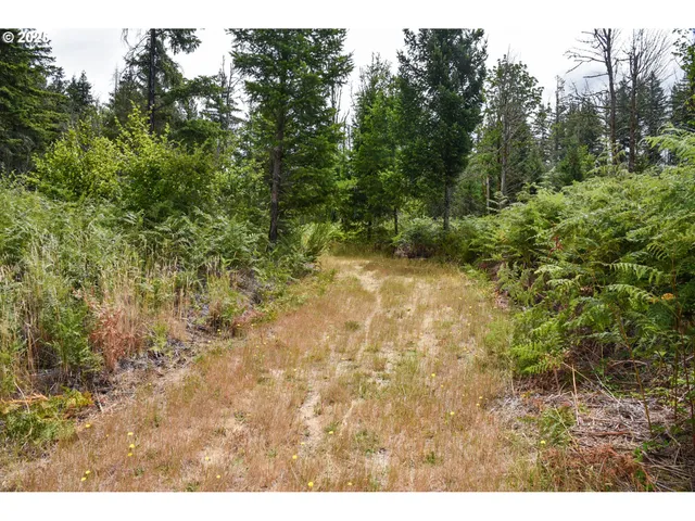 a view of a yard with a tree
