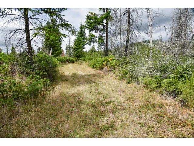 $985,000 | 40111 Southeast Fairview Street, Mill City, OR 97360